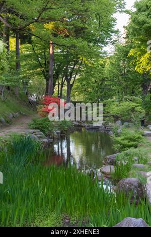 I terreni del castello di Morioka, Iwate, Giappone, all'inizio della primavera Foto Stock