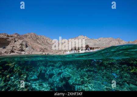 Egitto, Dahab, Blue Hole, costa di fronte al Blue Hole Foto Stock