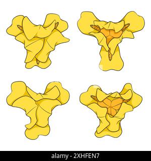 Set di illustrazioni a colori con fiori di iride gialli. Oggetti vettoriali isolati su sfondo bianco. Illustrazione Vettoriale