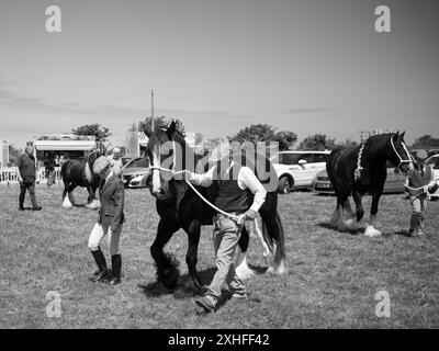 FIERA DI PRAZE FIERA TREFEWHA FIERA SUL CAMPO PRAZE-AN-BEEBLE CAMBORNE CORNOVAGLIA Foto Stock