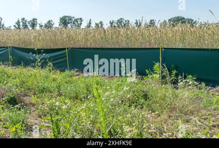 Paesaggio con recinzione protettiva per rettili ai margini del campo Foto Stock