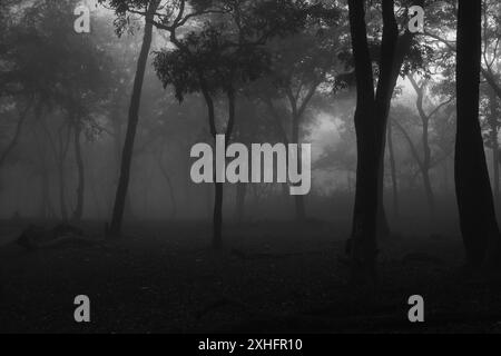 Riserva Kabini. India. Foto Stock