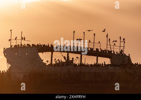 Silhoutte della SS Palo Alto vicino al tramonto, un vecchio naufragio della seconda guerra mondiale al largo della costa di Aptos, California Foto Stock