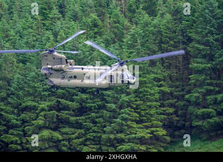 Royal Netherlands Air Force Helicopters in azione, durante l'operazione TAC Blaze 2024 a RAF Spadeadam Foto Stock