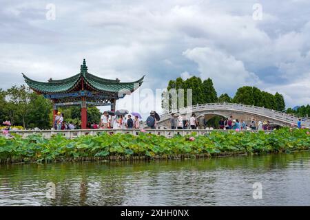 Pechino, la provincia cinese dello Yunnan. 13 luglio 2024. I turisti apprezzano i fiori di loto al Daguan Park di Kunming, nella provincia dello Yunnan, nel sud-ovest della Cina, 13 luglio 2024. Molte destinazioni turistiche in tutta la Cina hanno recentemente visto un aumento di visitatori man mano che il paese entra nel suo picco di stagione turistica estiva. Crediti: Hao Yaxin/Xinhua/Alamy Live News Foto Stock