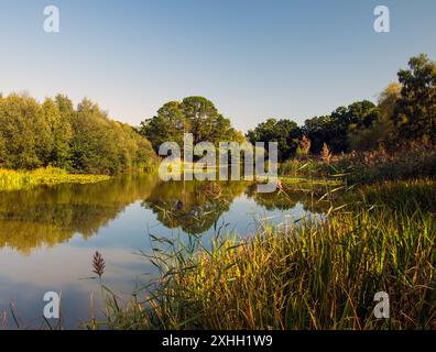 Attraverso il comune al Riverside Park lungo il fiume Itchen Foto Stock