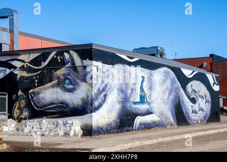 Cane da slitta e murale di musher al Qikiqtani General Hospital di Iqaluit, Nunavut, Canada Foto Stock