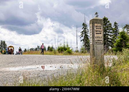 Brocken Harz Sachsen-Anhalt 14072024 - Ein Wegweiser am Brocken im Harz a Sachsen-Anahlt. Schierke Brocken Sachsen-Anhalt Deutschland *** Brocken Harz Sassonia Anhalt 14072024 Un cartello presso il Brocken nell'Harz in Sassonia Anahlt Schierke Brocken Sassonia Anhalt Germania 140724 ppb-18 Foto Stock