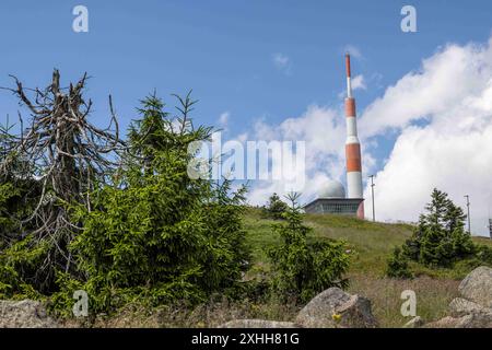 Brocken im Harz 14072024 - Blick zum Gipfelplateau am Brocken im Harz a Sachsen-Anahlt. Schierke Brocken Sachsen-Anhalt Deutschland *** Brocken nei Monti Harz 14072024 Vista sull'altopiano sommitale am Brocken nei Monti Harz in Sassonia Anahlt Schierke Brocken Sassonia Anhalt Germania 140724 ppb-23 Foto Stock