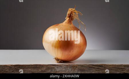 Gemüse, Zwiebel, Allium cepa, einzelne reife Zwiebel, Stillleben im Studio, Weißer Hintergrund Foto Stock