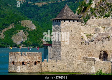 L'antica Fortezza Golubac sorge in mezzo a una lussureggiante vegetazione, mostrando la grandiosità delle sue torri e mura in pietra contro un cielo vibrante e senza nuvole in S. Foto Stock