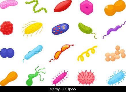Batteri cartoni animati. Virus biologici e batteri infettivi. Microbi e allergeni, icone della ricerca microbiologica. Vettore neoterico sanitario umano Illustrazione Vettoriale