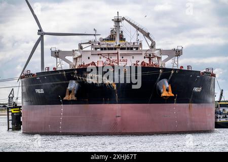 Großtankschiff für Rohöl, Freud, im Arianehaven, Seehafen von Rotterdam, Maasvlakte, Rotterdam Niederlande, Petroleumhaven *** grande petroliera per petrolio greggio, Freud, ad Arianehaven, porto di Rotterdam, Maasvlakte, Rotterdam Paesi Bassi, Petroleumhaven Foto Stock