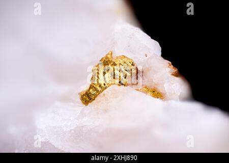 Oro nativo al quarzo dalla Sierra de la Chimenea, Spagna. Micro Photography primi piani estremi. Fotografia al microscopio per uso scientifico Foto Stock