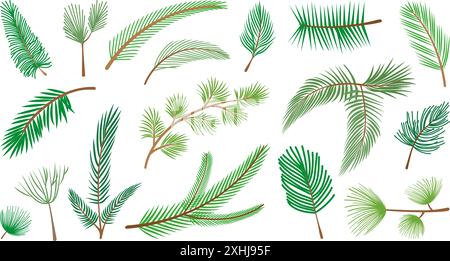 Albero di natale cartoni animati rami. Cedro di pino abete, ramificazione di alberi sempreverdi della foresta. Elementi naturali per Capodanno e vacanze invernali vettore neoterico Illustrazione Vettoriale