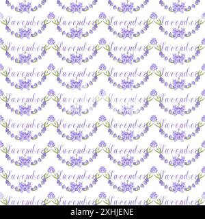 Lavanda. Motivo senza cuciture con fiori e la parola calligrafica lavanda su sfondo trasparente. Illustrazione vettoriale. Illustrazione Vettoriale