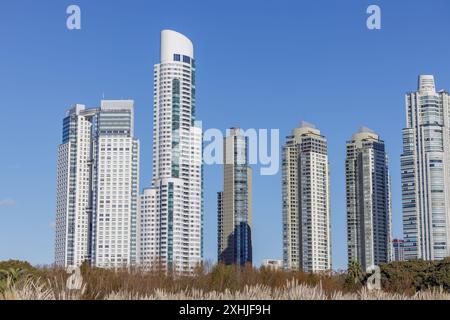 Edifici visti dalla riserva ecologica di Costanera Sur nella città di Buenos Aires. Foto Stock