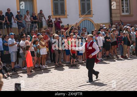 Speyer, Germania. 14 luglio 2024. Il gruppo italiano è specializzato nel whipcracking. L'annuale Pretzel Festival si svolge in sei giorni dall'11 al 16 luglio. La domenica segna il momento culminante dell'evento con una sfilata colorata attraverso la pittoresca città di Speyer. La processione fu oscurata da un incidente e finì prematuramente quando due veicoli si scontrarono, schiacciando una gamba di una ragazzina di 12 anni. Il bambino è stato trasportato in ospedale con un elicottero medico. Crediti: Gustav Zygmund/Alamy News Foto Stock