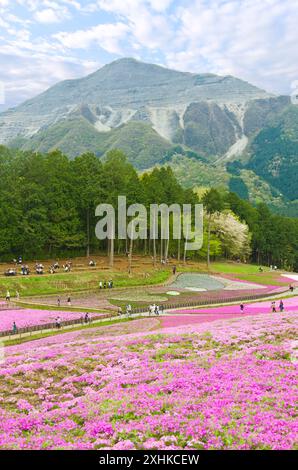 Parco Hitsujiyama a Chichibu, prefettura di Saitama, Giappone. Foto Stock