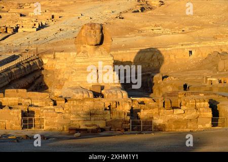Egitto, Cairo, Giza, patrimonio mondiale dell'UNESCO, la Sfinge Foto Stock