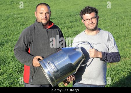 Malta, Haz-Zebbug, la fattoria tal Karmnu, gli agricoltori Emmanuel e Paul Agius che producono il formaggio ovino locale: Gbejna Foto Stock
