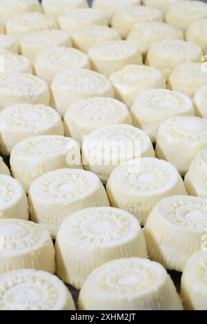 Malta, Haz-Zebbug, azienda agricola tal Karmnu, produzione di gbejna (formaggio di pecora locale) Foto Stock
