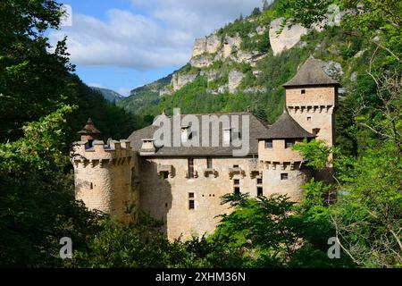 Francia, Lozere, Gorges du Tarn, Chateau de la Caze Foto Stock