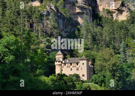 Francia, Lozere, Gorges du Tarn, Chateau de la Caze Foto Stock