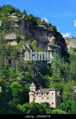 Francia, Lozere, Gorges du Tarn, Chateau de la Caze Foto Stock