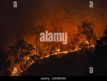 Gli incendi boschivi tropicali hanno un impatto negativo sul loro ambiente ecologico negli ecosistemi tropicali stagionalmente secchi nel sud-est asiatico. Foto Stock