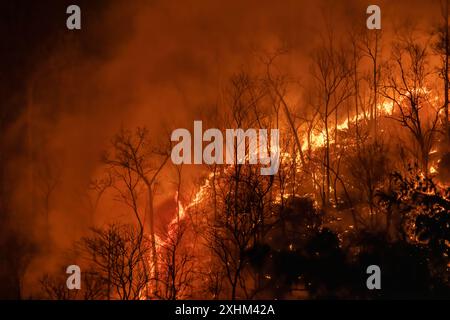 I cambiamenti climatici, gli incendi provocati rilasciano emissioni di biossido di carbonio (CO2) e altri gas a effetto serra (GHG) che contribuiscono al cambiamento climatico e al riscaldamento globale Foto Stock