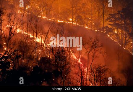 I cambiamenti climatici, gli incendi provocati rilasciano emissioni di biossido di carbonio (CO2) e altri gas a effetto serra (GHG) che contribuiscono al cambiamento climatico e al riscaldamento globale Foto Stock