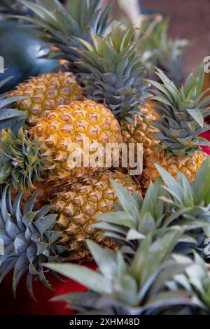 Polinesia francese, isola di Tahiti, Papeete, ananas in una stalla nel mercato municipale Foto Stock