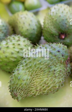 Polinesia francese, isola di Tahiti, Papeete, soursop su una stalla nel mercato municipale Foto Stock