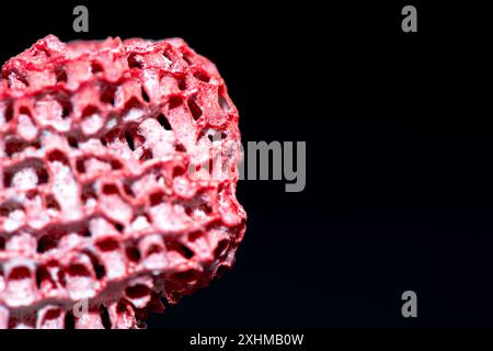 Una foto macro dettagliata che mette in evidenza le complesse texture di una barriera corallina rossa su uno sfondo nero, che ne mostra la vibrante bellezza. Foto Stock