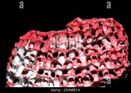 Una foto macro dettagliata che mette in evidenza le complesse texture di una barriera corallina rossa su uno sfondo nero, che ne mostra la vibrante bellezza. Foto Stock