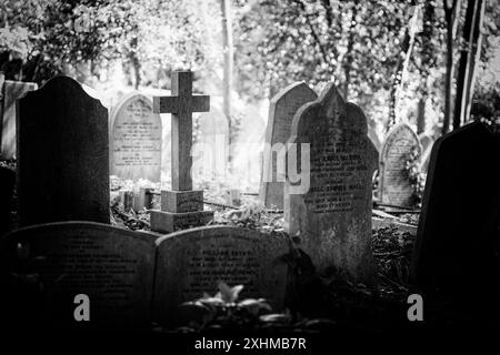 Immagine in bianco e nero di vecchie pietre tombali e croce. La croce è illuminata in un raggio di luce solare. Highgate Cemetery, Londra, Regno Unito Foto Stock