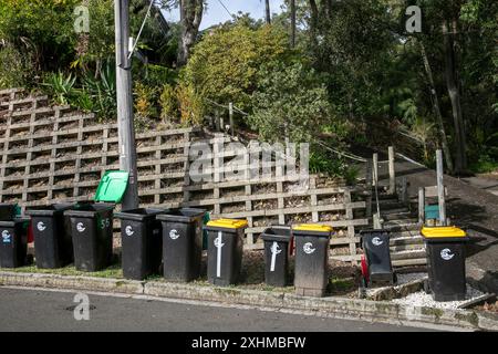 Sydney Australia, bidoni gialli e verdi svuoti e sul marciapiede in attesa di essere ritirati Foto Stock