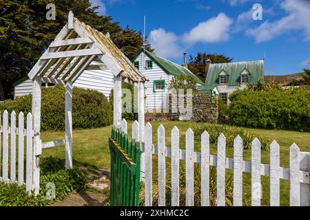 Agriturismo, West Point Island, Isole Falkland, domenica 3 dicembre, 2023. foto: David Rowland / One-Image.com Foto Stock