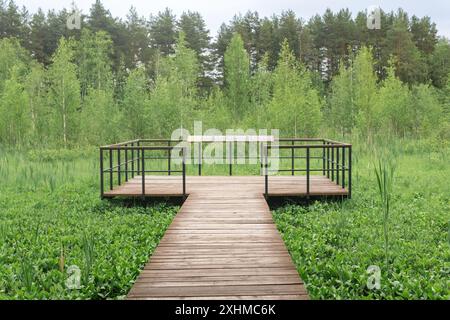 San Pietroburgo, Russia - 8 giugno 2024: Piattaforma di osservazione su percorso naturalistico educativo nel paesaggio protetto Foto Stock