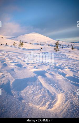 Escursionismo con racchette da neve nel paesaggio ghiacciato della Lapponia finlandese Foto Stock