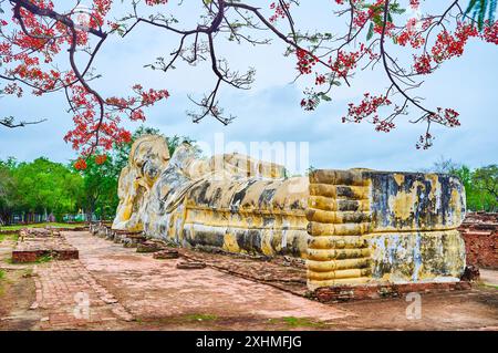 La grande statua del Buddha sdraiato di Wat Lokaya Sutha ad Ayutthaya, Thailandia Foto Stock