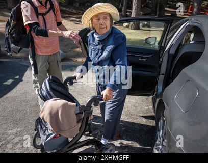 Donna anziana che scende da un'auto e cammina con un camminatore. Mani che tengono aperta la porta dell'auto. Foto Stock