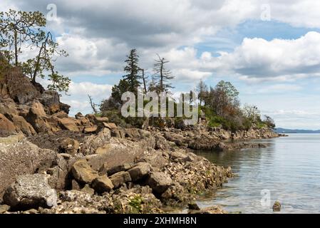 Costa frastagliata del Gange a Salt Spring Island, British Columbia. Foto Stock