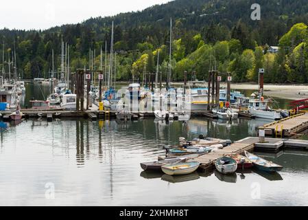 Barche attraccate al pittoresco Ganges Centennial Harbour, British Columbia. Foto Stock