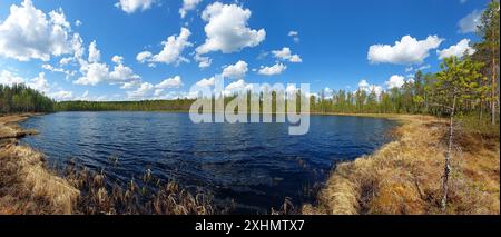 Vista sul lago e sulla foresta con cielo azzurro e nuvole sparse che si riflettono nelle acque calme della Svezia settentrionale. Foto Stock