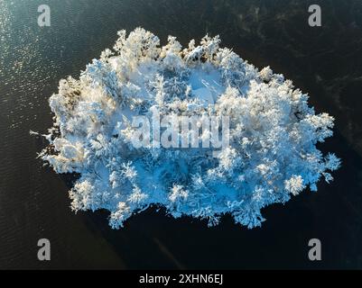 Vista aerea di una piccola isola su un lago in inverno, Alpenvorland, Baviera, Germania, Europa Foto Stock