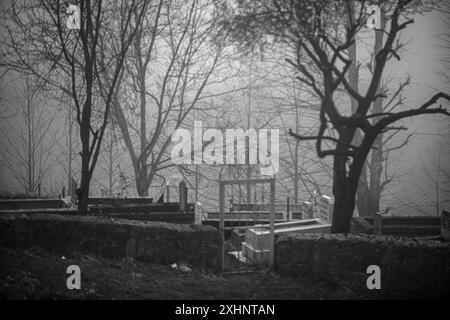 Immergiti nella bellezza inquietante e negli echi storici di un vecchio cimitero annidato in una foresta, catturato in un intramontabile monocromatico Foto Stock