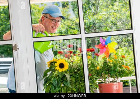 Mann gießt Blumen auf dem Balkon, München, Juli 2024 Deutschland, München, Juli 2024, Mann beim Blumengiessen auf dem Balkon, Rentner gießt Seine Topfpflanzen, dabei Sonnenblume und Strohblumen, Blick durch das Fenster nach draußen, zuhause, Grüner Daumen, Blumenfreund, Pflanzenliebhaber, Urlaub daheim, Urlaub zuhause, Urlaub in Balkonien, Sommer auf dem Balkon, Blumen Gießen beim Nachbarn, Blumenpflege, Hobby, Haushalt, Mensch, Ü60, Senior, Senioren, bayerische, *** uomo innaffiare fiori sul balcone, Monaco di Baviera, luglio 2024 Germania, Monaco di Baviera, luglio 2024, uomo che innaffiava fiori sul balcone, pensione Foto Stock