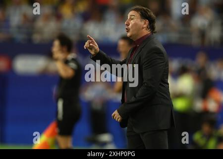 Miami, Florida, Stati Uniti. 15 luglio 2024. Nestor Lorenzo (R) della Colombia dà istruzioni durante la finale di Copa América USA 2024 tra Argentina e Colombia, all'Hard Rock Stadium, il 14 luglio 2024. Crediti: Alejandro Pagni/Alamy Live News Foto Stock